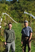 Dan Brown, left, and his father, David, at the vineyard on the family farm in Maidencreek Township.